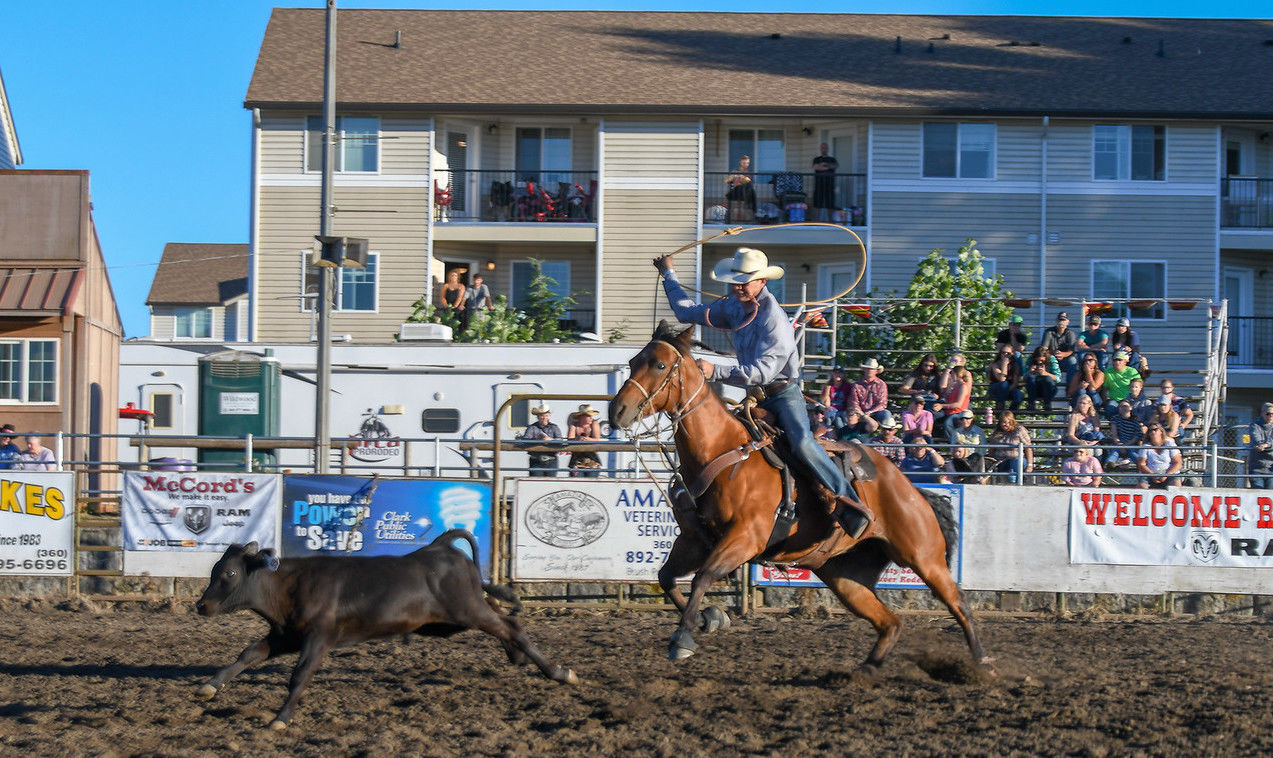 saddle club 1